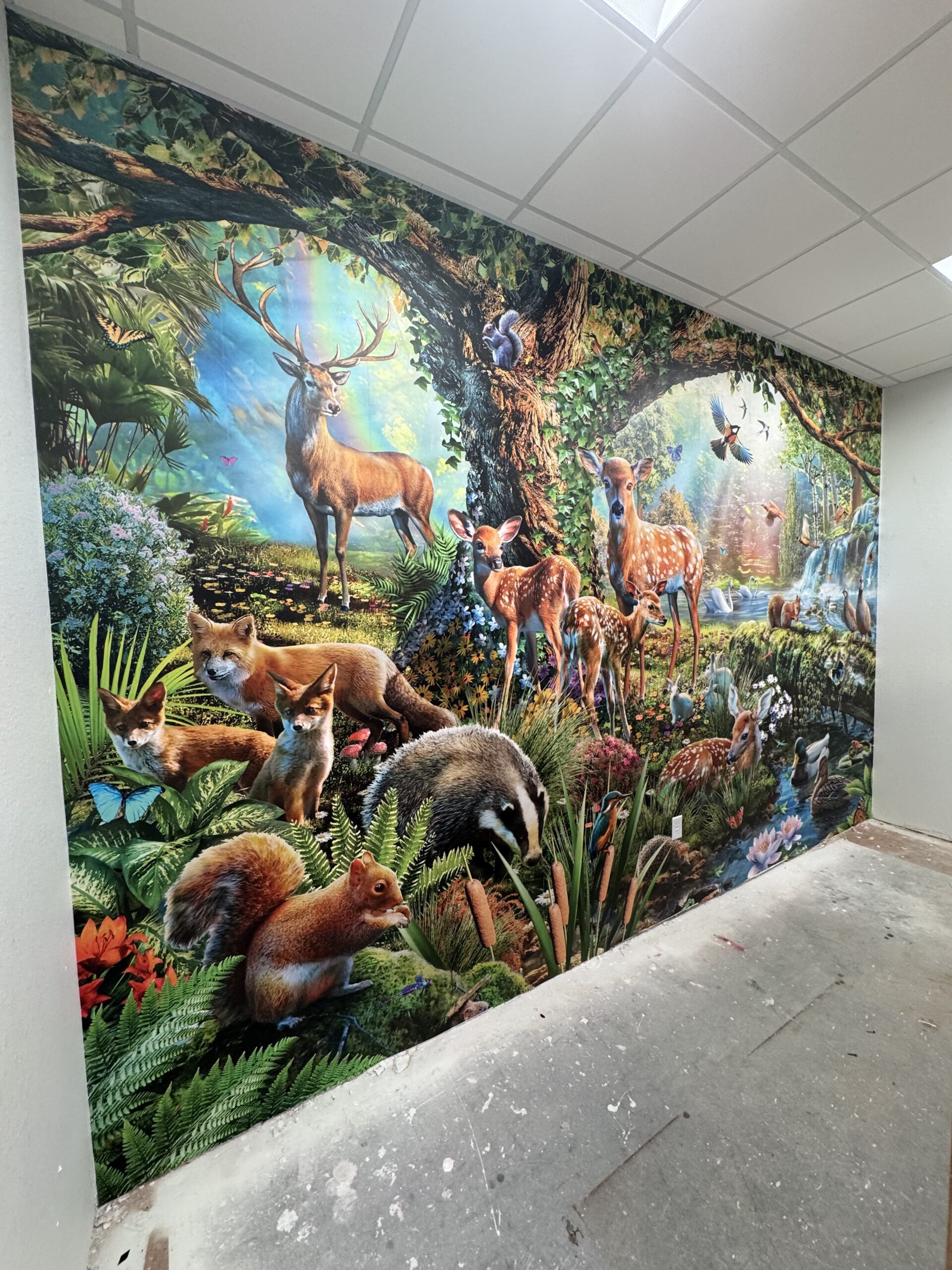 Wallpaper Installation